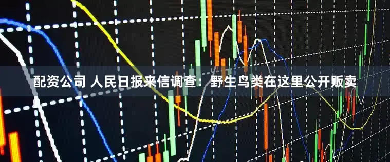 配资公司 人民日报来信调查：野生鸟类在这里公开贩卖