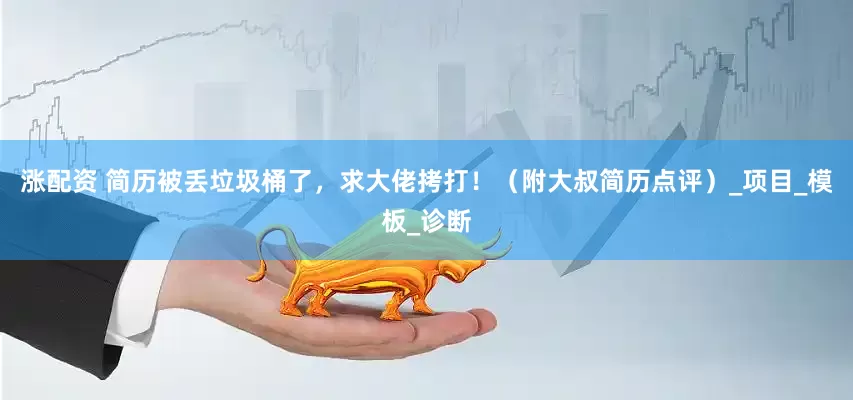 涨配资 简历被丢垃圾桶了，求大佬拷打！（附大叔简历点评）_项目_模板_诊断